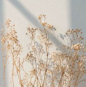 Meet your Posher, Britney